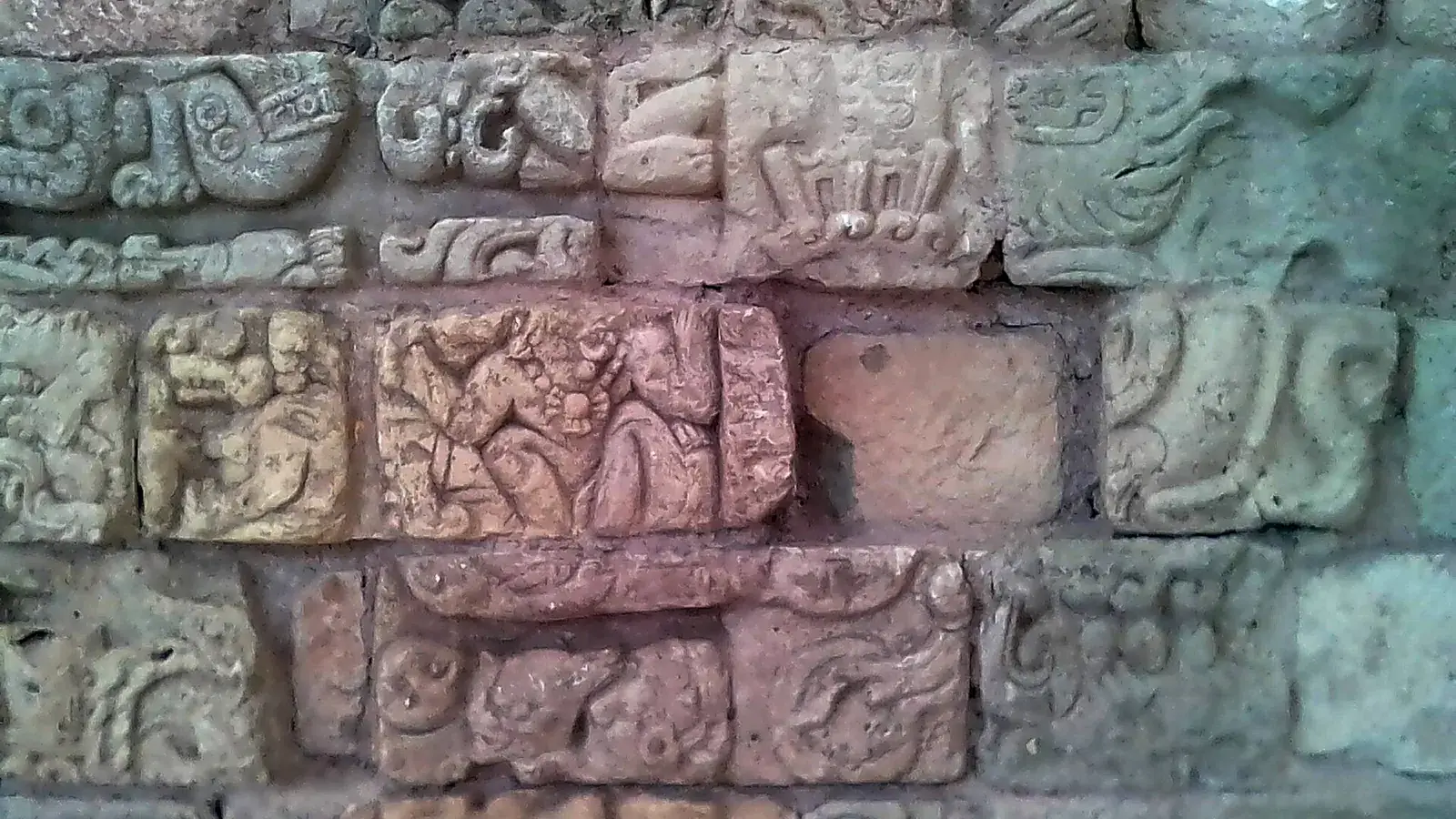 Carved Maya glyph blocks displayed together at the Copan museum