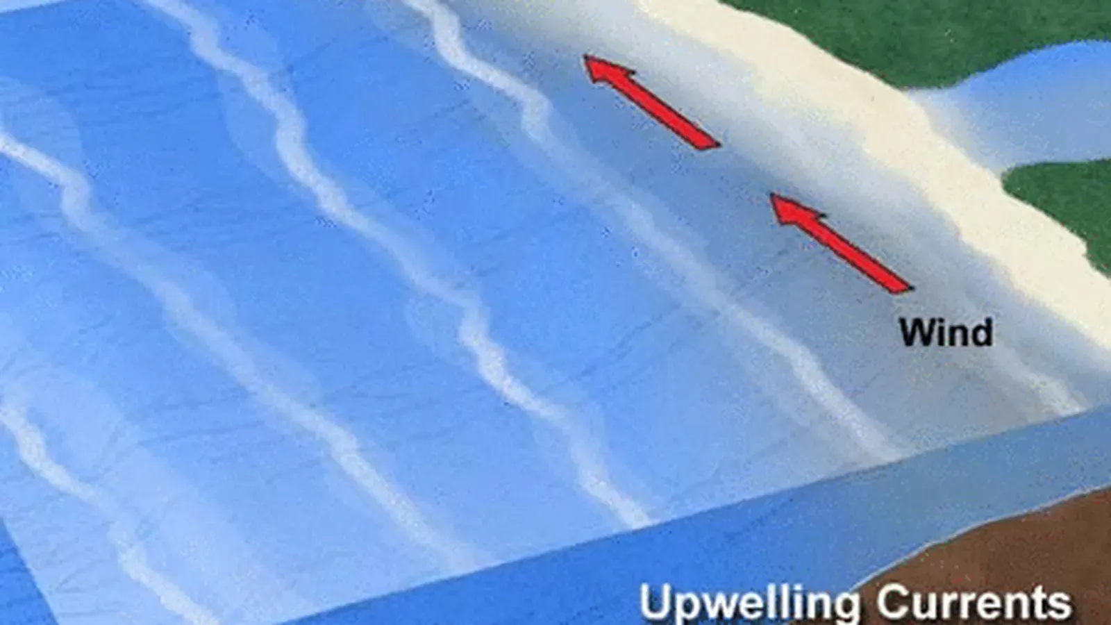 How Ocean Upwelling Feeds Some of Earth’s Richest Ecosystems featured reference image