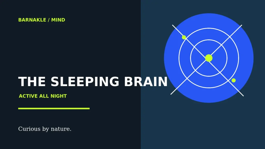 What Your Brain Is Doing While You Sleep — original Barnakle editorial illustration