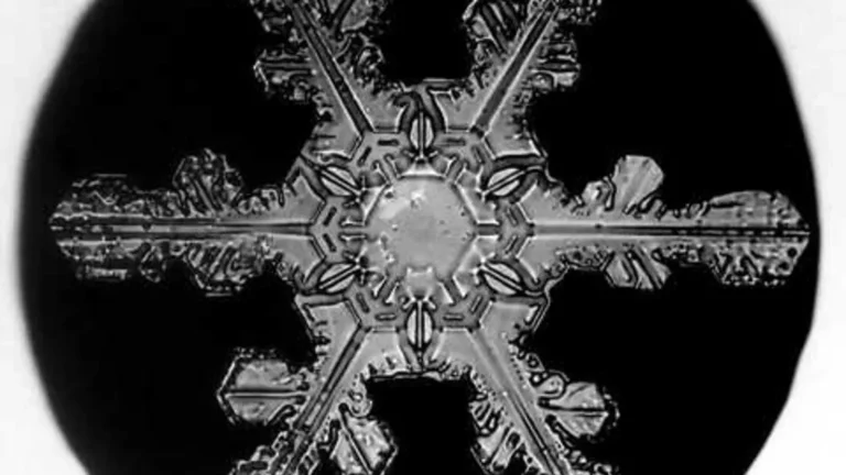 Historic microscope photograph of a six-branched snow crystal by Wilson Bentley