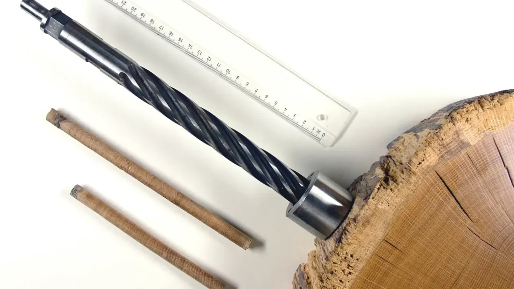 How Tree Rings Put Dates on the Ancient Past featured reference image