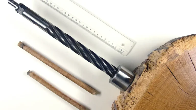 How Tree Rings Put Dates on the Ancient Past featured reference image