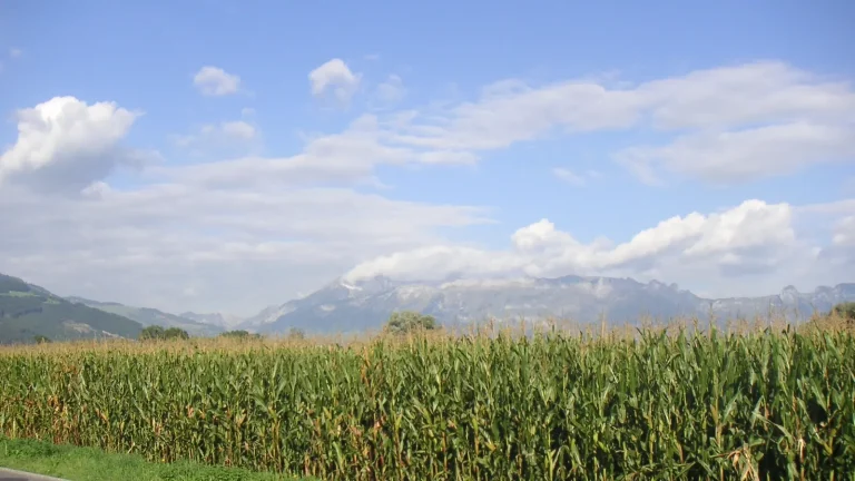Why Is the Sky Blue? — documentary reference image