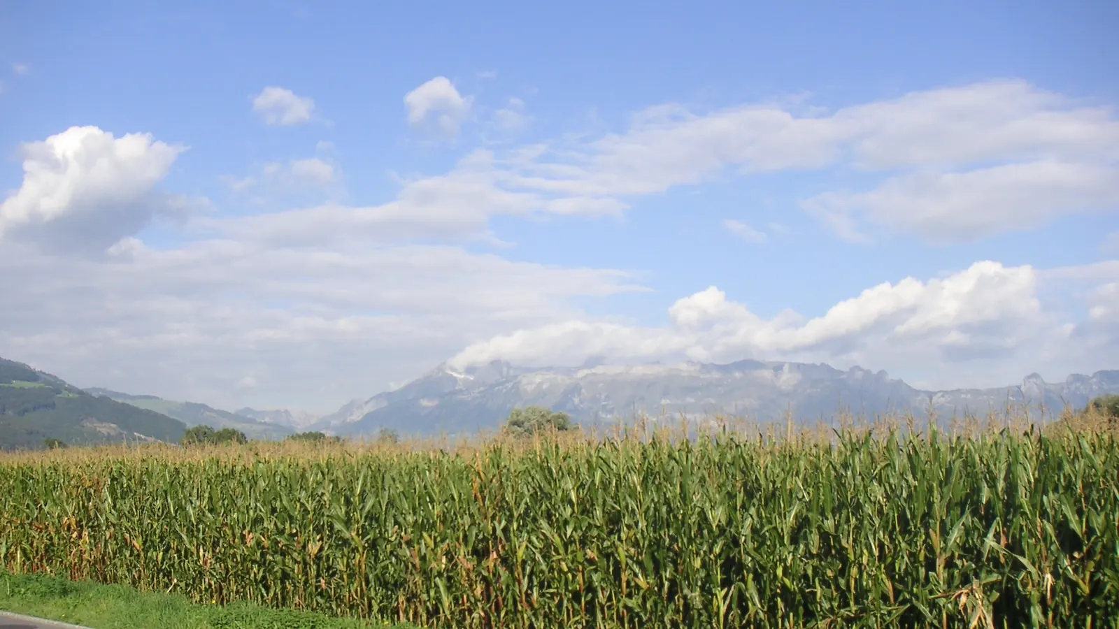 Why Is the Sky Blue? — documentary reference image