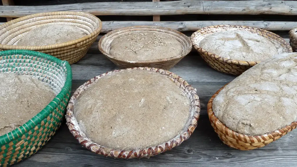 Rounds of bread dough rising in lined proofing baskets