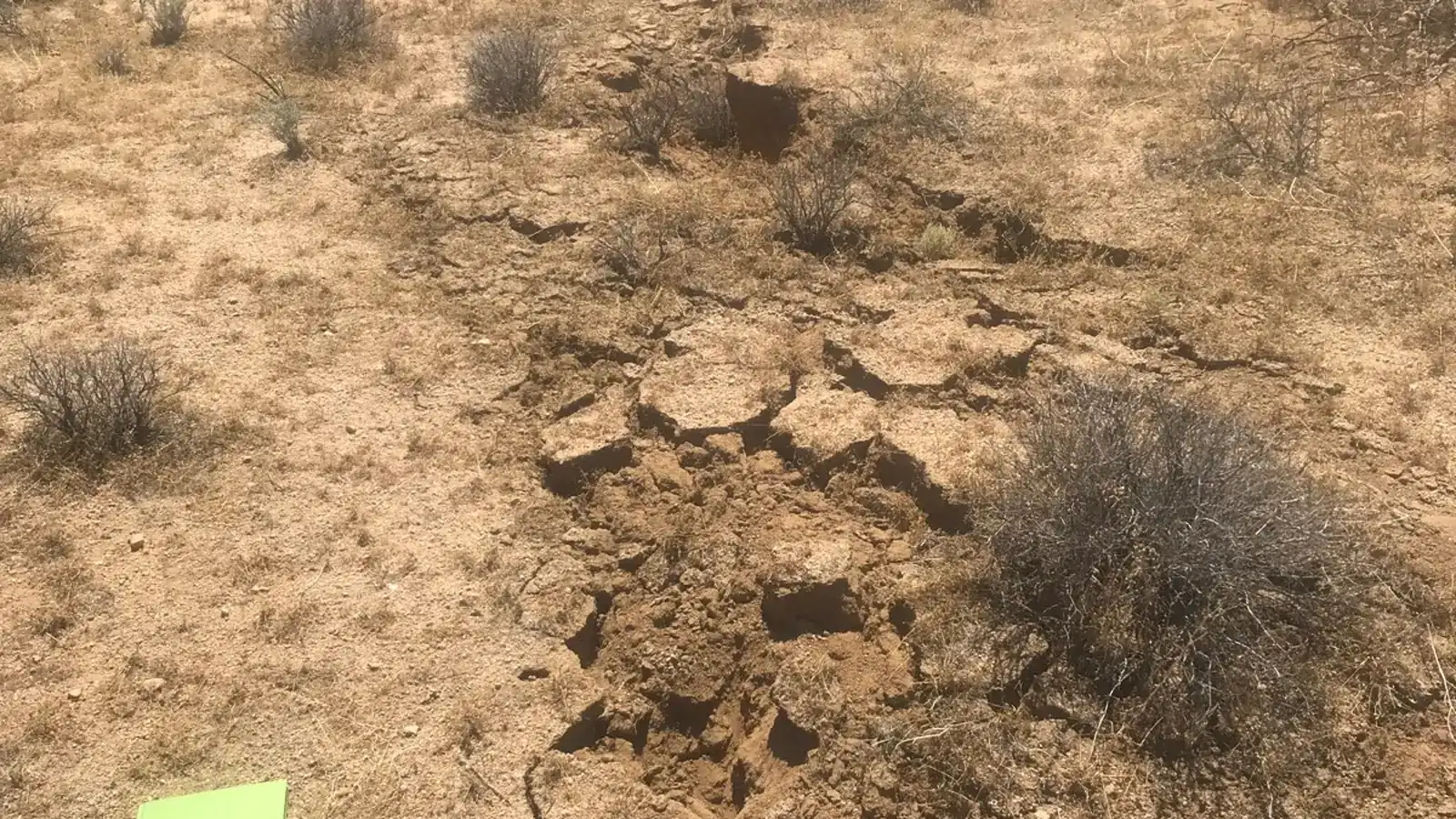 Surface rupture cutting across dry ground after the 2019 Ridgecrest earthquake