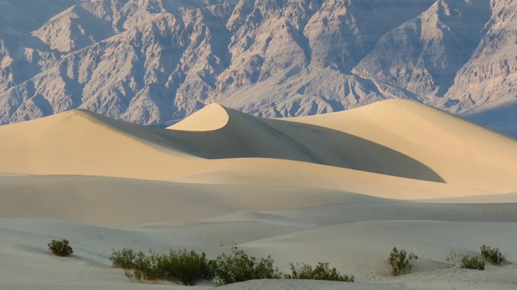 Wind-shaped dunes and curved sand ridges in Death Valley