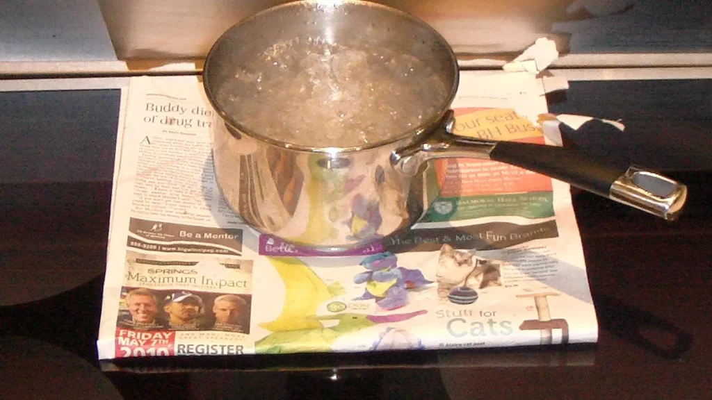 Pot of water boiling on a black induction cooktop