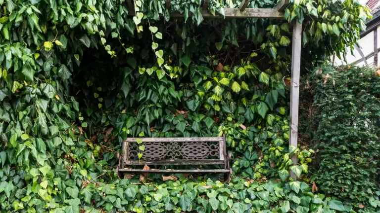 Wooden park bench supported by metal legs and frame