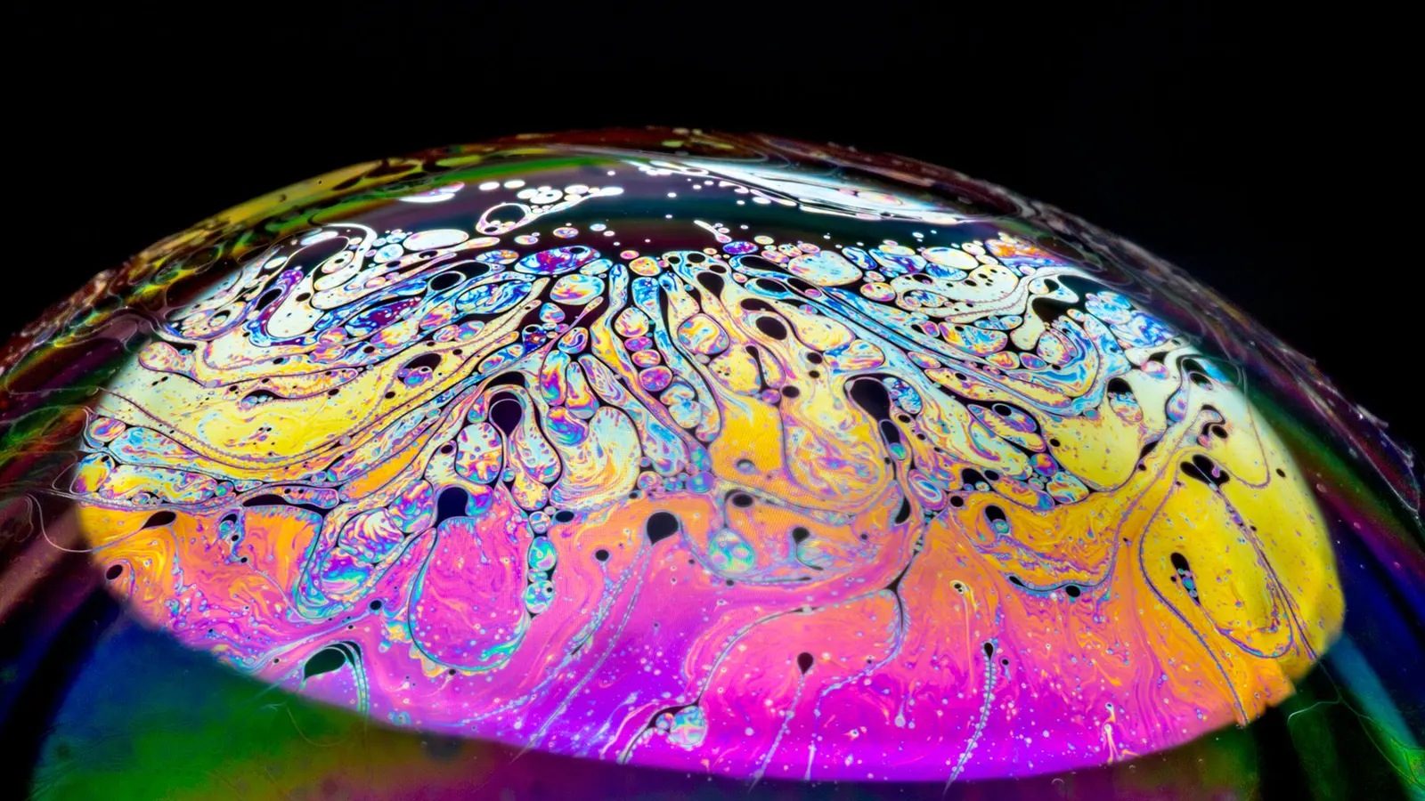 Macro photograph of a colourful soap bubble against a black background