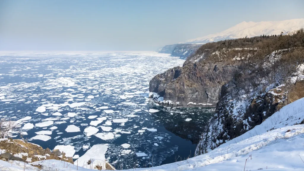 Broken sea ice floating beside the snowy Shiretoko Peninsula